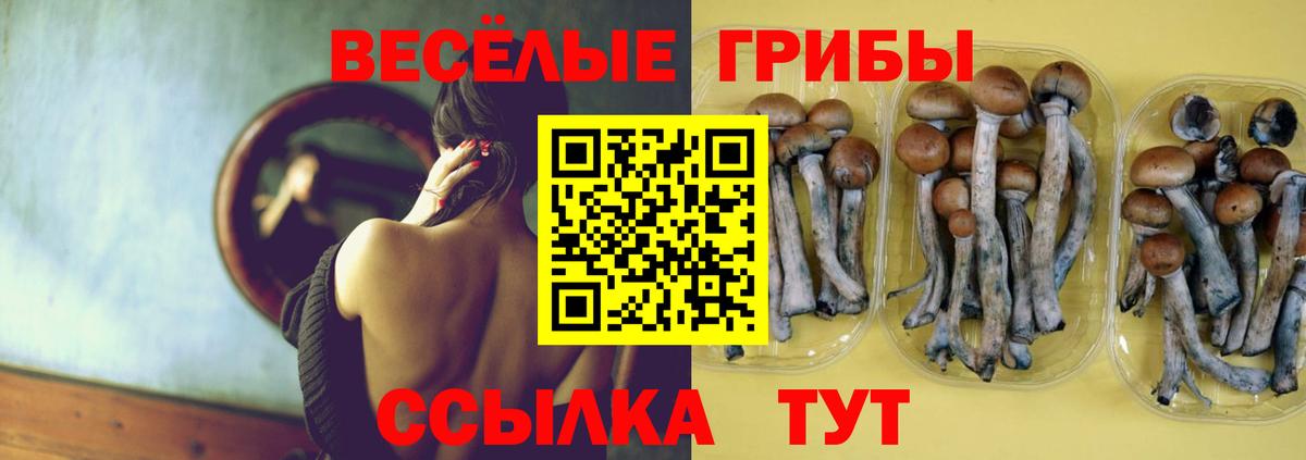 Галлюциногенные грибы Cubensis Гусь-Хрустальный