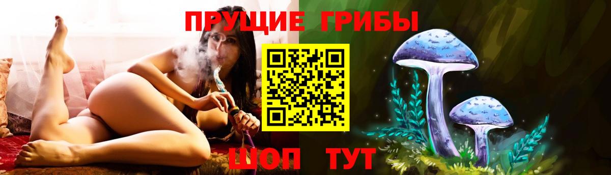 Псилоцибиновые грибы MAGIC MUSHROOMS  Псилоцибиновые грибы ЛСД  Вход с VPN  Гусь-Хрустальный 
